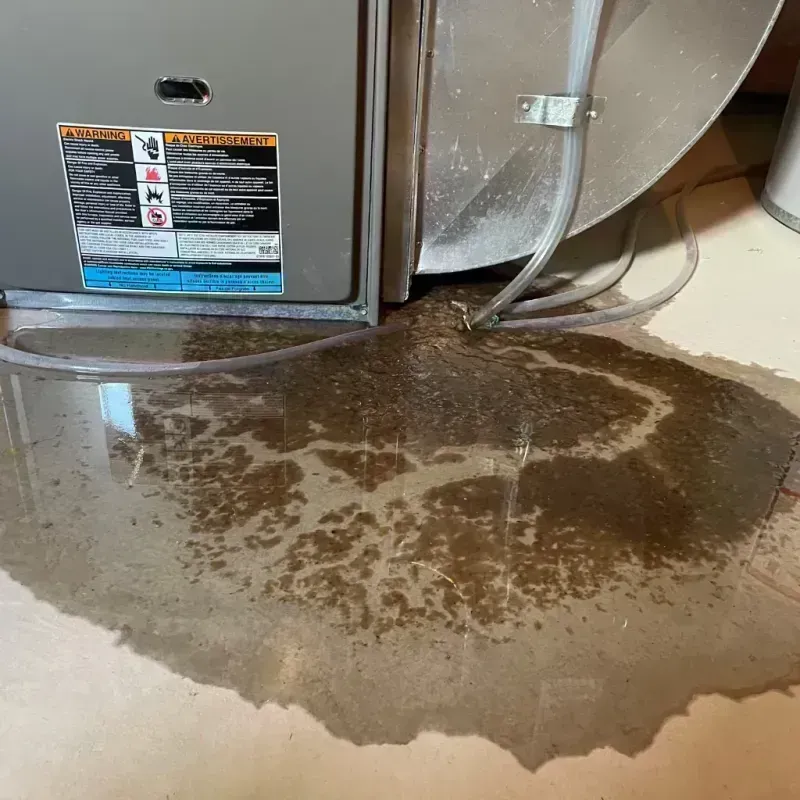 Appliance Leak Cleanup in Fifth Street, TX